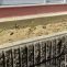 さつまいもの苗を植えました