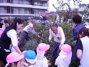 SANYO DIGITAL CAMERA