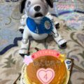 お誕生日おめでとうございます（わんじろう編）